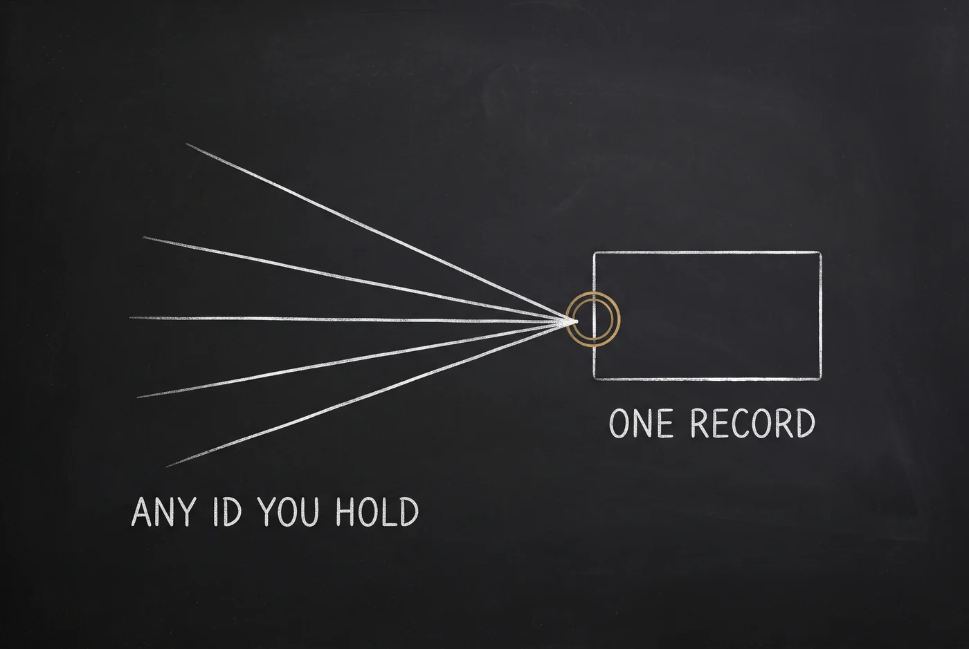 A chalk sketch: five separated lines labelled ANY ID YOU HOLD converge into a small gold ring in front of a card labelled ONE RECORD.